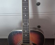 Falcon F300SB guitar with soft case