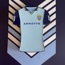 Limited Edition 1991 Dublin Jersey Pin Badge Image 3