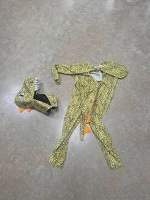 Dinosaur Costume / Dino