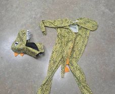 Dinosaur Costume / Dino