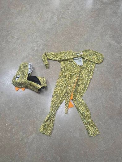 Dinosaur Costume / Dino