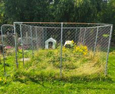 Dog Pen Cage 6 x 3 x 2 meter