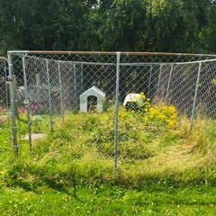 Dog Pen Cage 6 x 3 x 2 meter