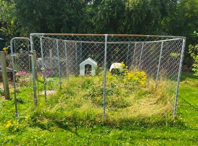 Dog Pen Cage 6 x 3 x 2 meter