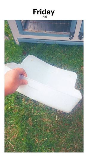 Rabbit / Guinea Pig Hutch