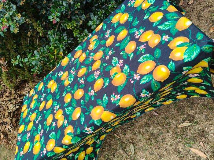 Vintage Paule Marrot Tablecloth