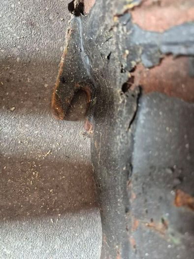 gutters and chimney