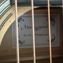 Martin Smith Guitar (Acoustic) Image 3