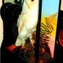Rare Taxidermy Owl by Rohu & Sons Cork Image 6