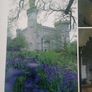 In the Houses of Ireland Image 5