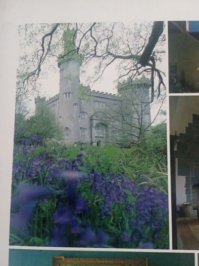 In the Houses of Ireland
