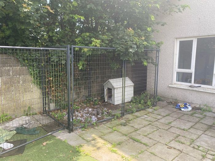 Dog Run