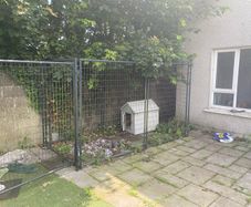 Dog Run