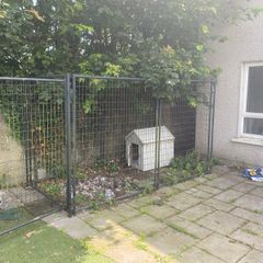 Dog Run