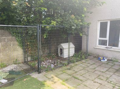 Dog Run