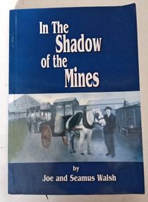 In The Shadows of the Mines Book