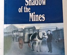 In The Shadows of the Mines Book