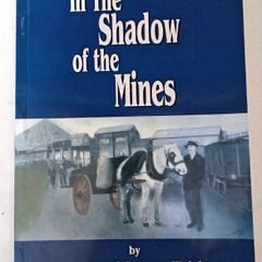 In The Shadows of the Mines Book