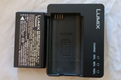 Panasonic S1H S1R S1 Charger Battery combo