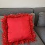 Beautiful Red Cushions Image 3