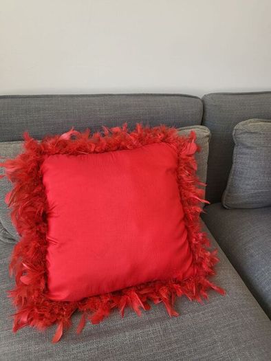 Beautiful Red Cushions