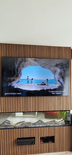 75" Samsung TV ,read add