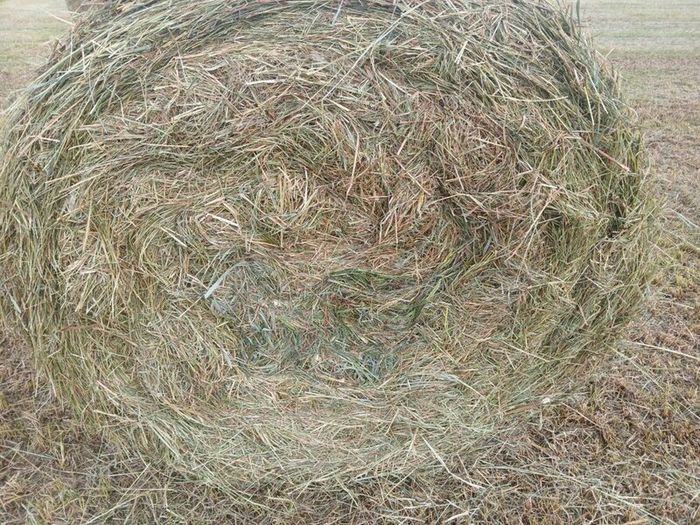 Hay Bales
