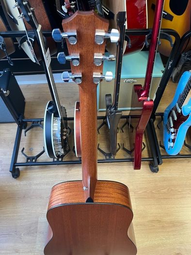 Taylor 310