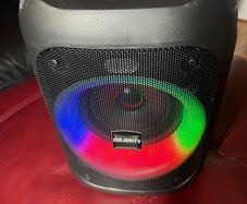 Party speaker