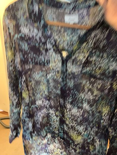 Semi sheer blouse