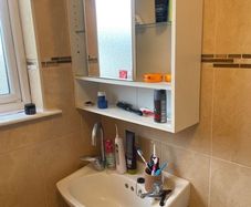 Sink and cabinet