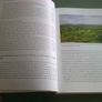 In the shadow of the Galtees Archaeology excavation N8 Cashel Mitchelstown road Tipperary Image 5