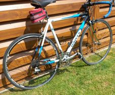 Dawes Giro 300