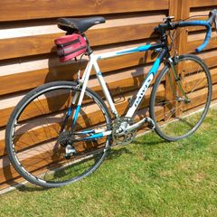 Dawes Giro 300