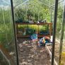Green house  domestic garden Image 6