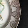 Kingfisher Bone China Plate Image 4