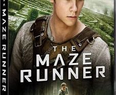 The Maze Runner (DVD)