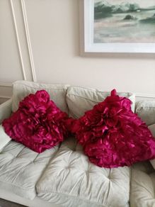 Red cushions