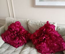 Red cushions
