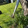 Bike Image 10
