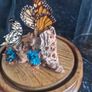 cloche display butterflies Image 4
