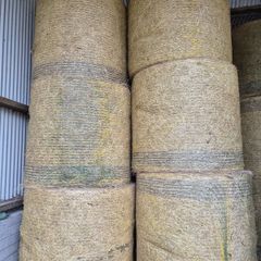 Horse Hay