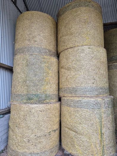 2025 Hay for sale. Horse Hay.