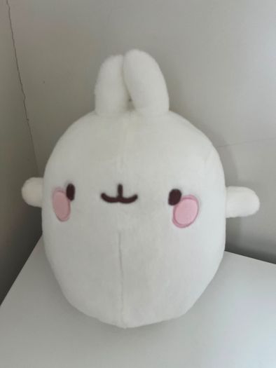 Election of soft toys