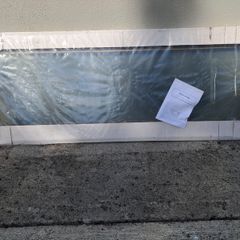Shower door