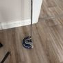 taylormade putter chrome Image 7