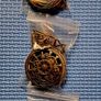 Vintage Quartz Pocket Watch, New, unopened. Image 3
