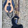 Uilleann Pipes Image 6