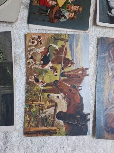 Historic Gore Booth postcards.