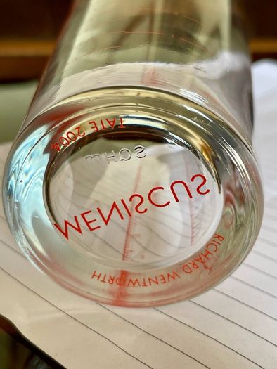 Wentworth Meniscus Glass Genuine Artwork  Tate Gallery Richard Wentworth 2004